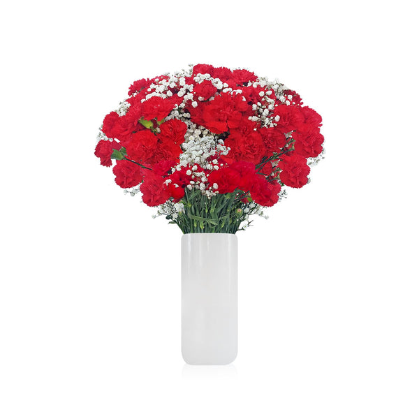 💐 Santo Domingo Hearts and Diamonds - Flower Delivery, 30 Red Carnations  and White Babys Breath