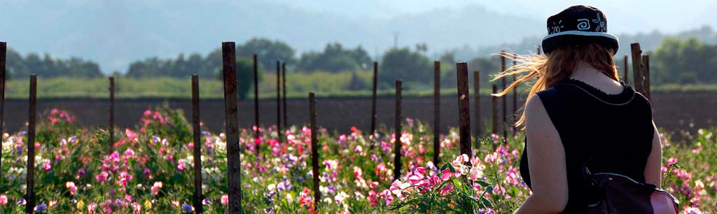 Farm fresh flowers delivered to your door