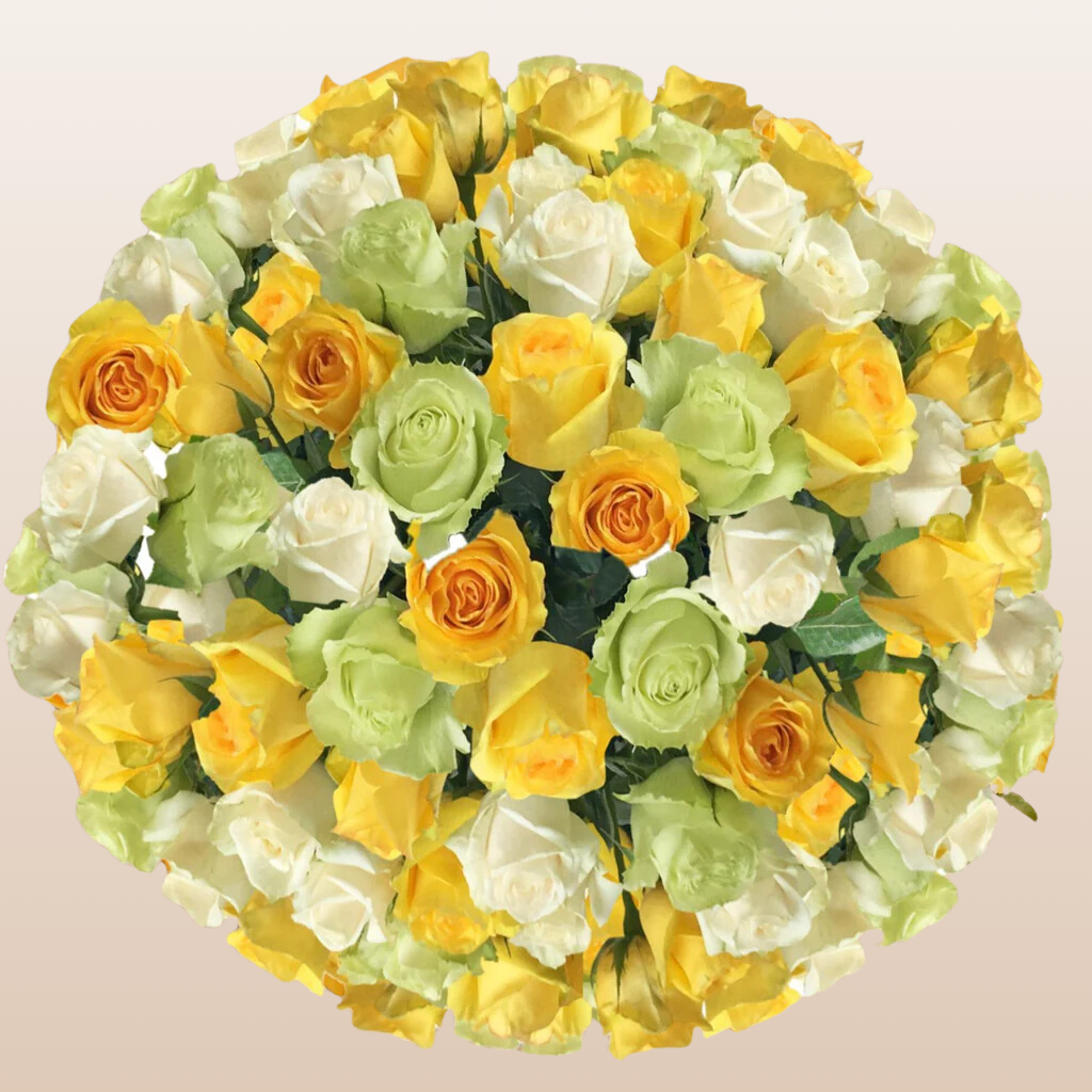 Trio Yellow - White & Green Roses