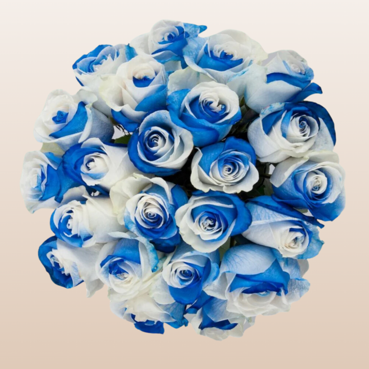 White - Blue Tinted Roses