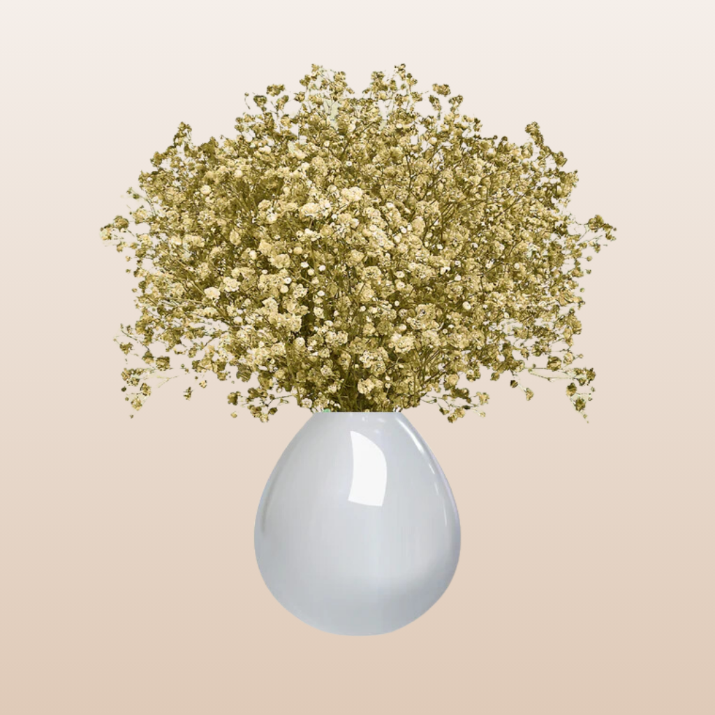 Baby's Breath Light Yellow