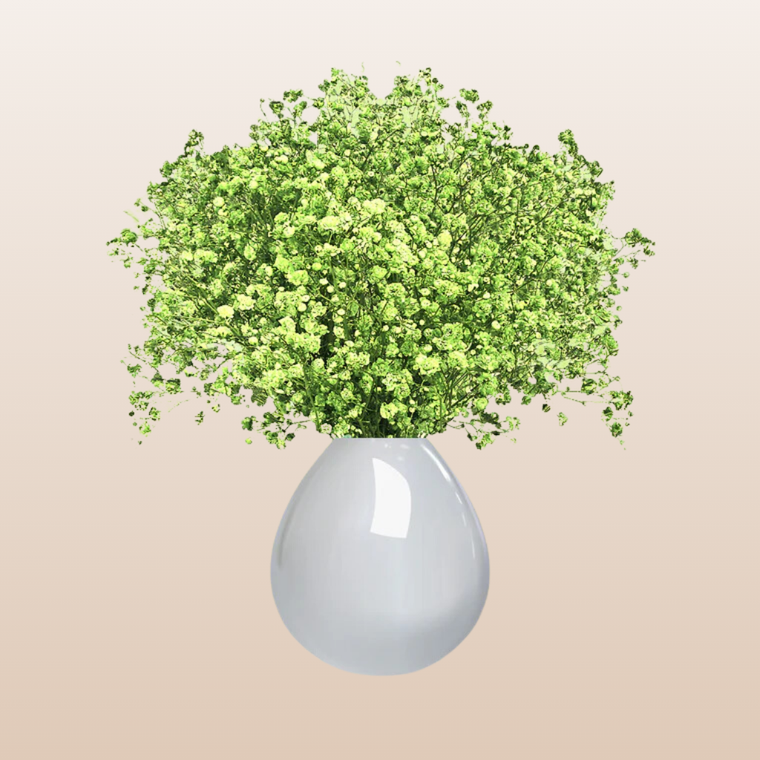 Baby's Breath Green Neon