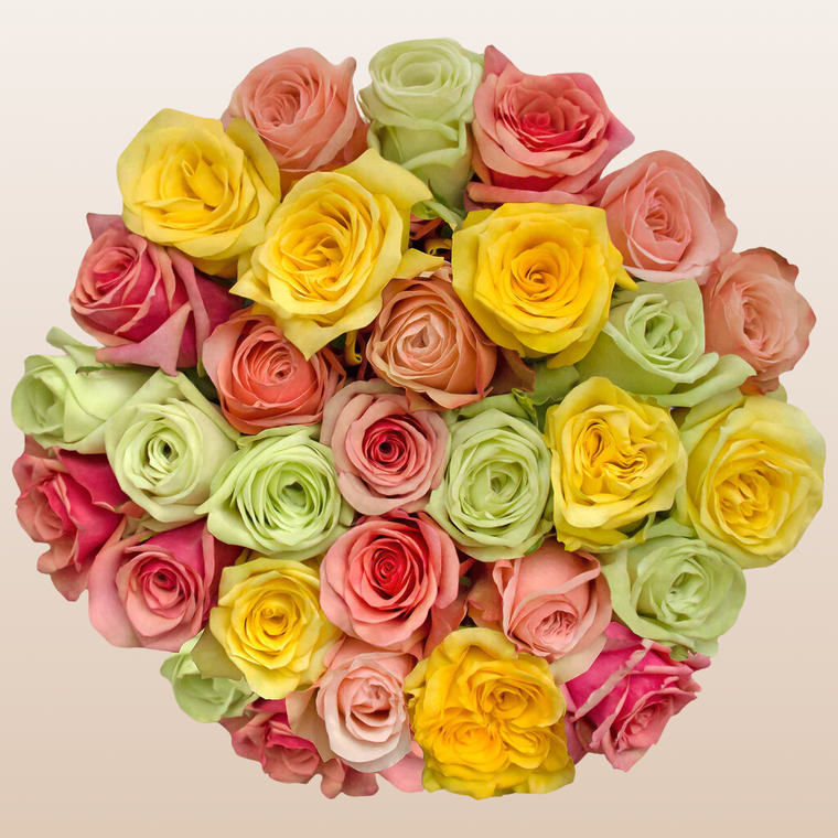 Rainbow Pastel Roses