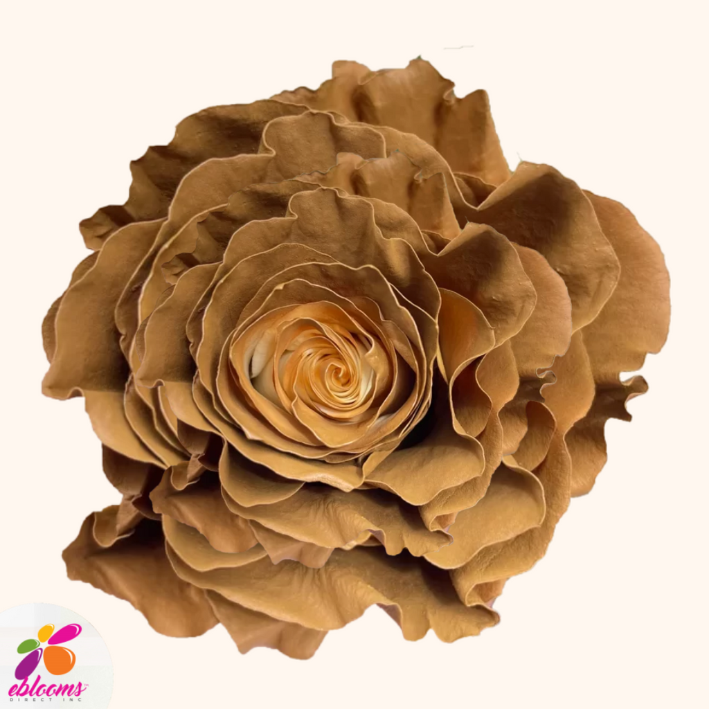 Cinnamon Tinted Roses