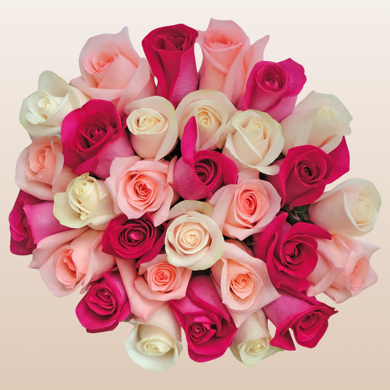 Trio White - Pink & Hot Pink Roses