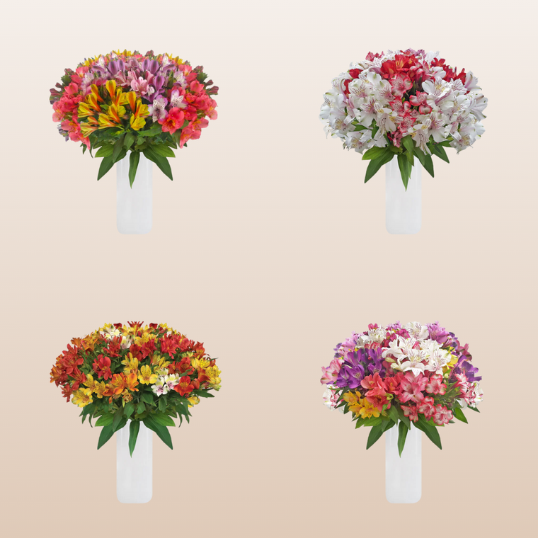 Alstroemeria Bouquets