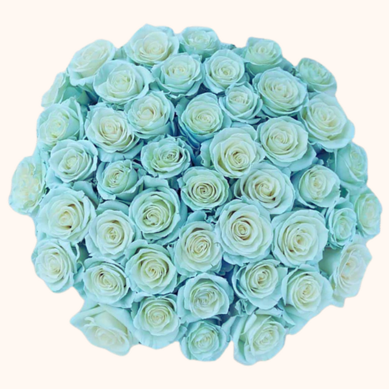 Angel Light Blue & White Tinted Roses