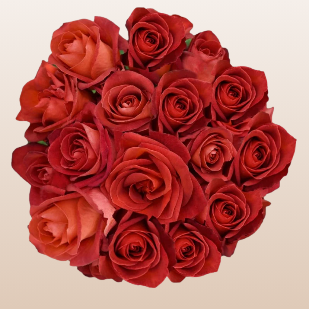Cafe del Mar Roses