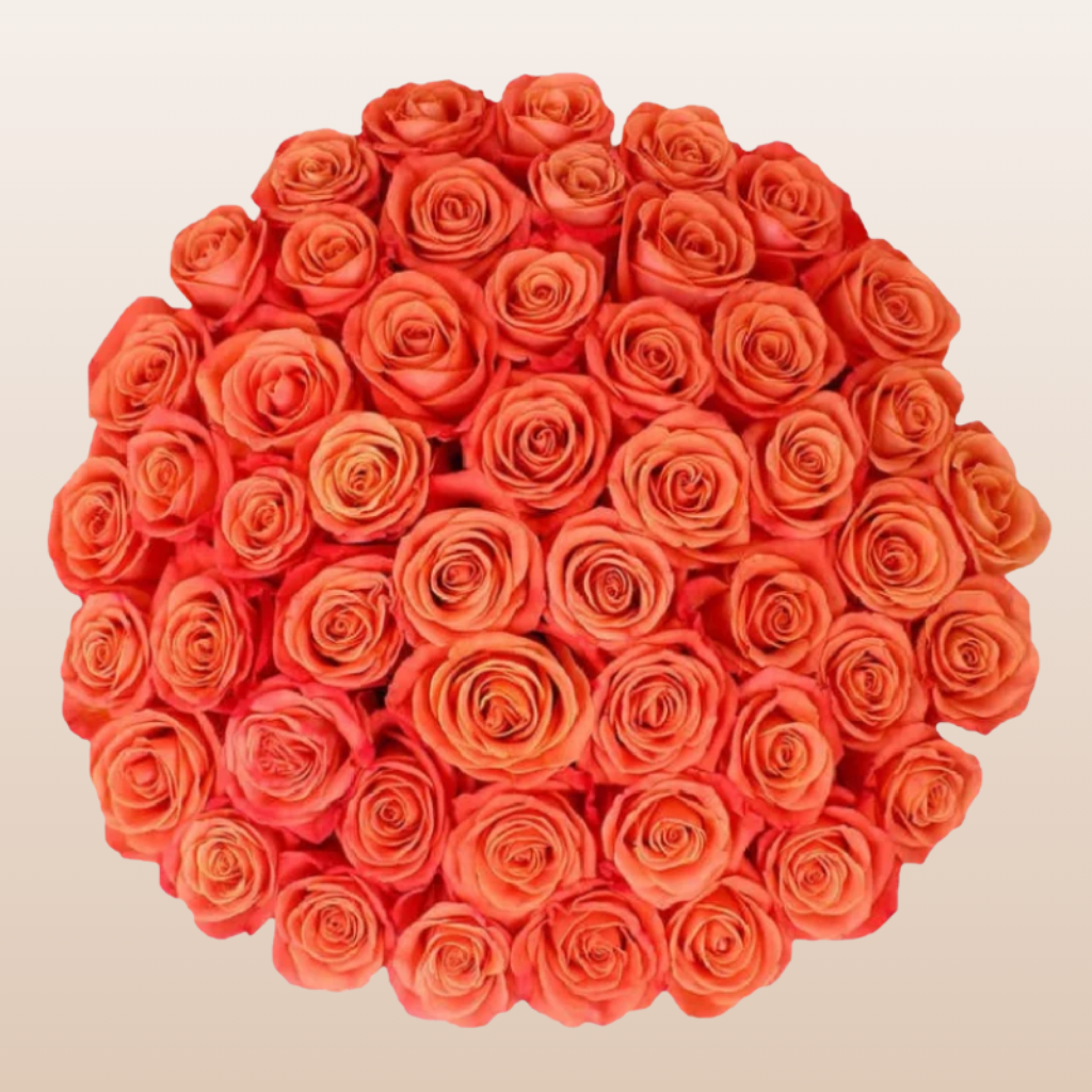 Cayenne Roses