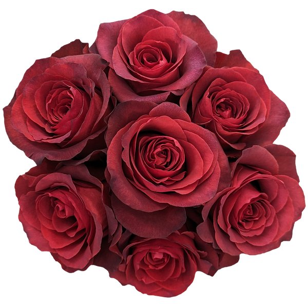 Believe Red Rose Variety - EbloomsDirect – Eblooms Farm Direct Inc.