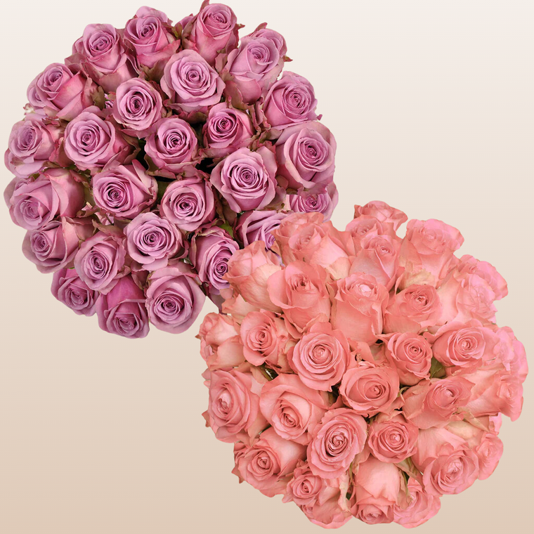 Duo Lavender - Light Pink Roses