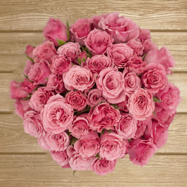 Eva Medium Pink Spray Rose - EbloomsDirect – Eblooms Farm Direct Inc.