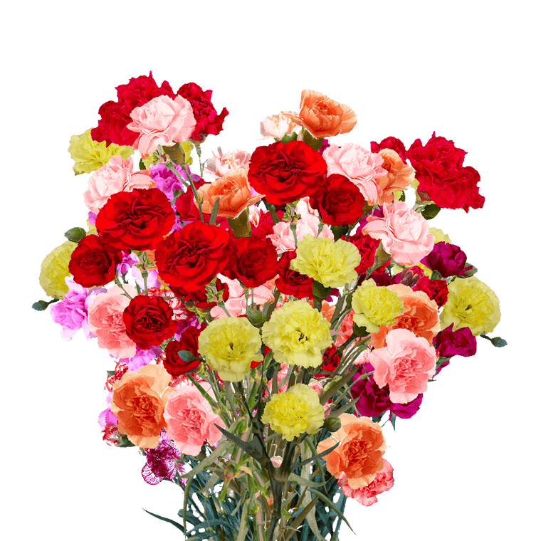 Assorted Mini Carnations