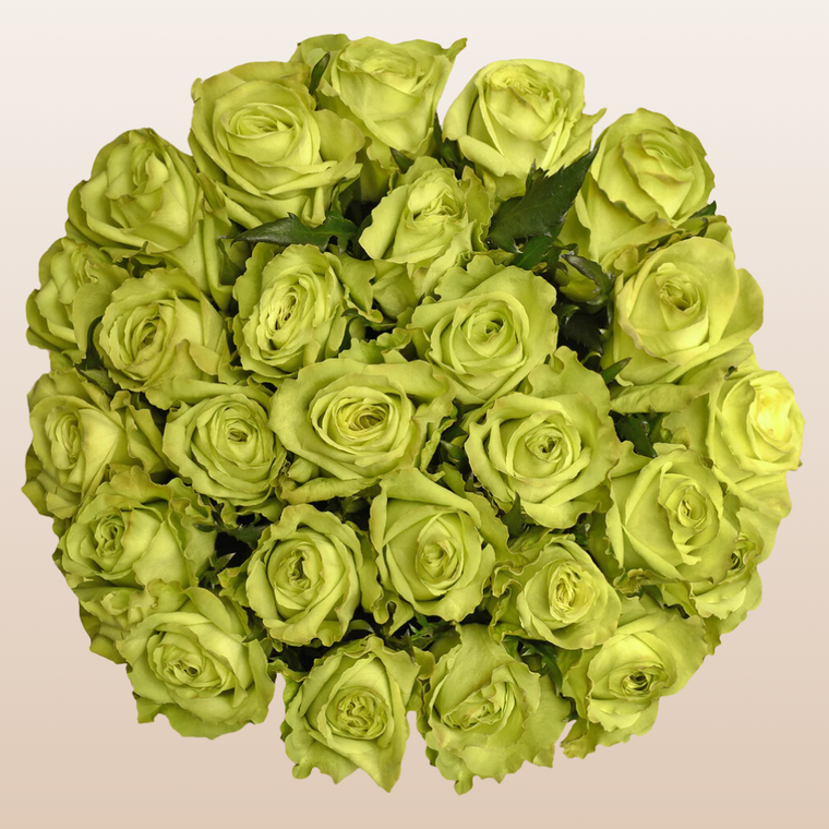 Green Roses