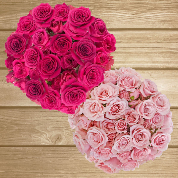 Spray Roses lovely Lidia & Pink Majolica Pack 120- EbloomsDirect ...