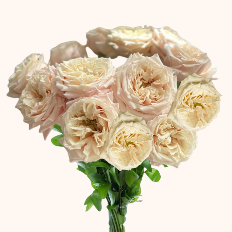 Monet Garden Roses