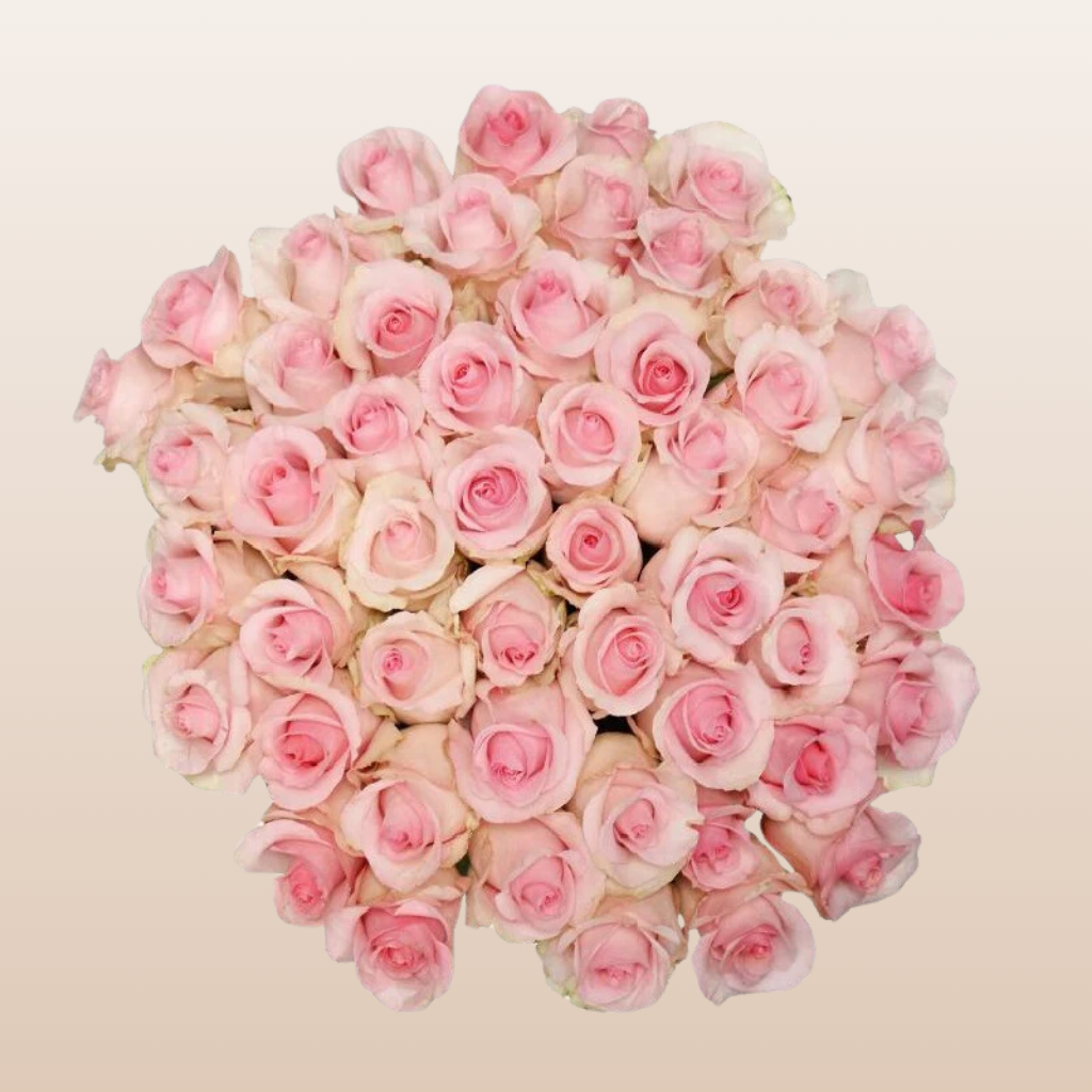 Nena Roses
