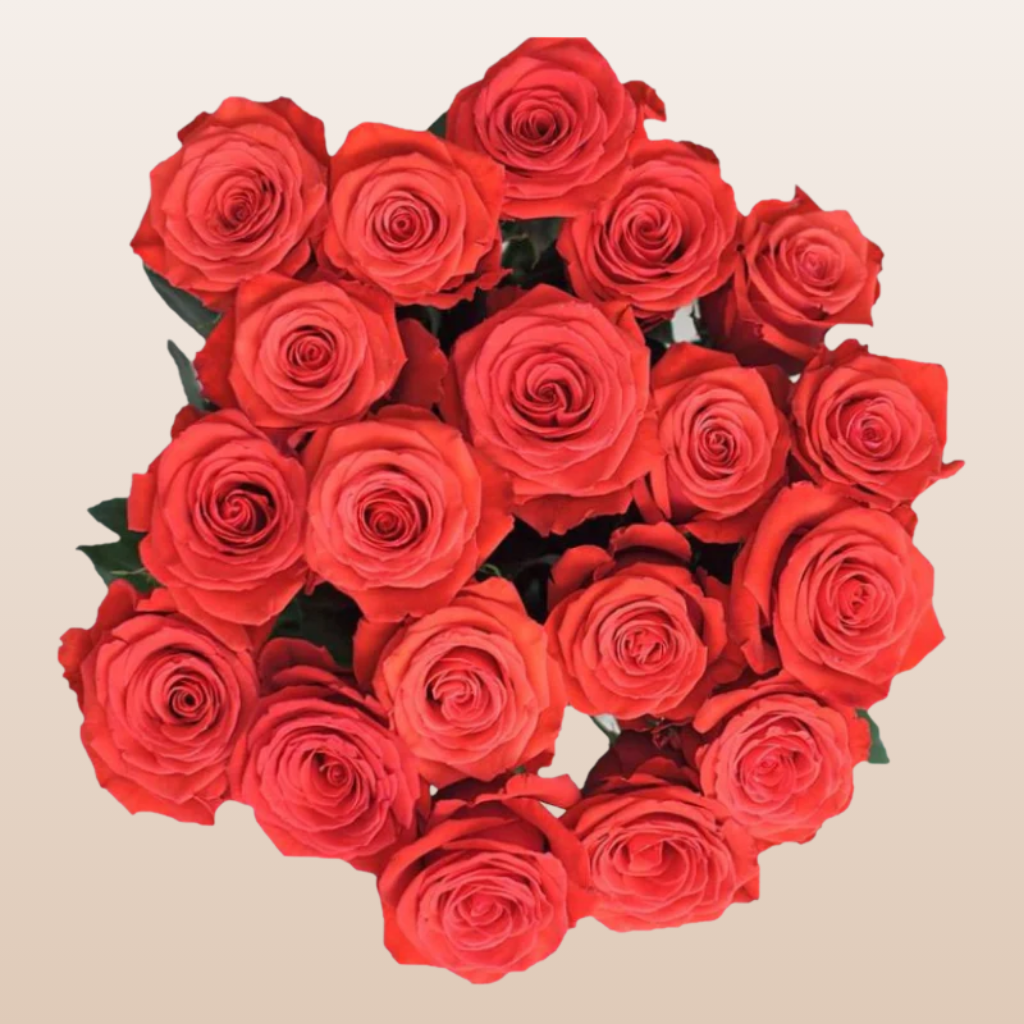 Nina Roses