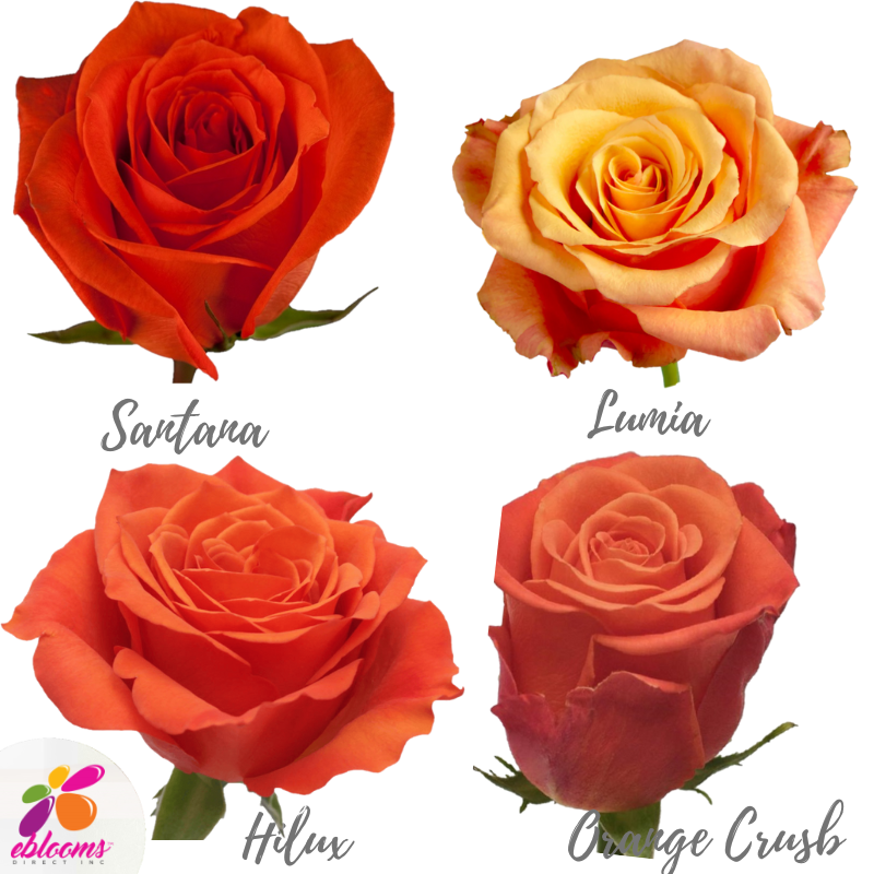 Orange Assorted Roses