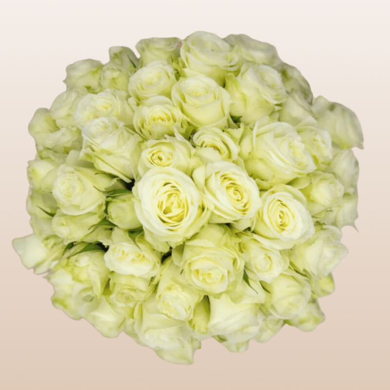 Pascua Ivory Spray Roses