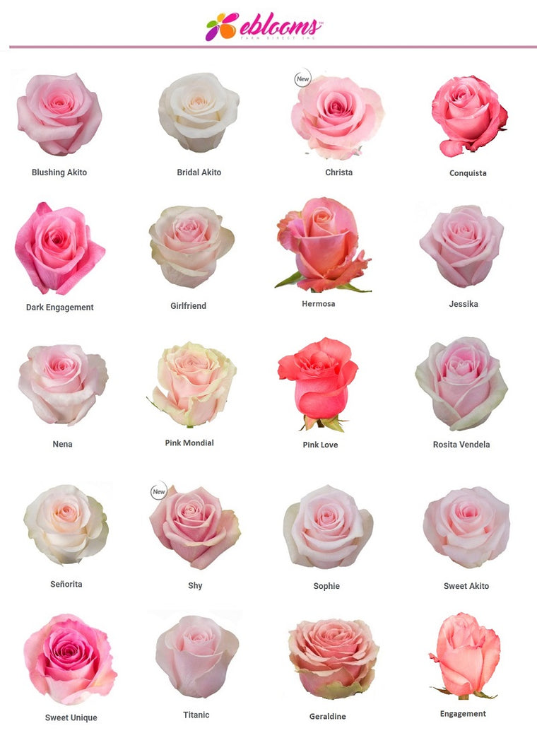 Light Pink Assorted Roses