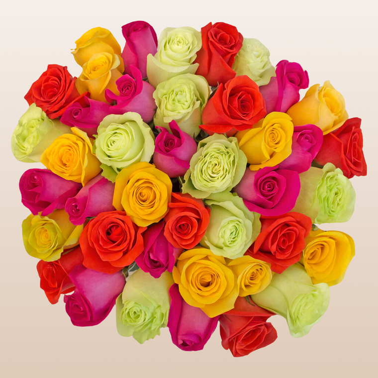 Rainbow Bright Roses