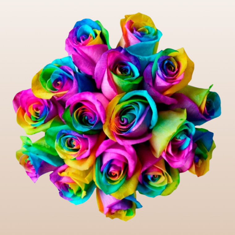 Rainbow Tinted Roses