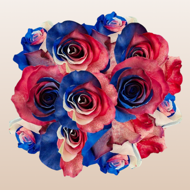 Red - White & Blue Tinted Roses