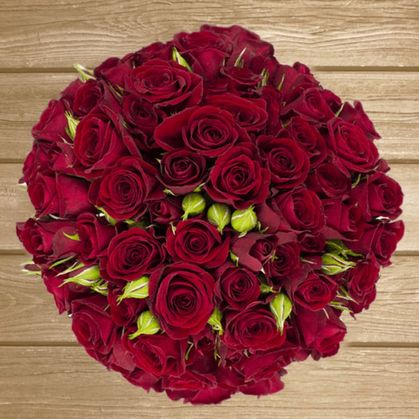 Rubicon Red Spray Rose - EbloomsDirect – Eblooms Farm Direct Inc.