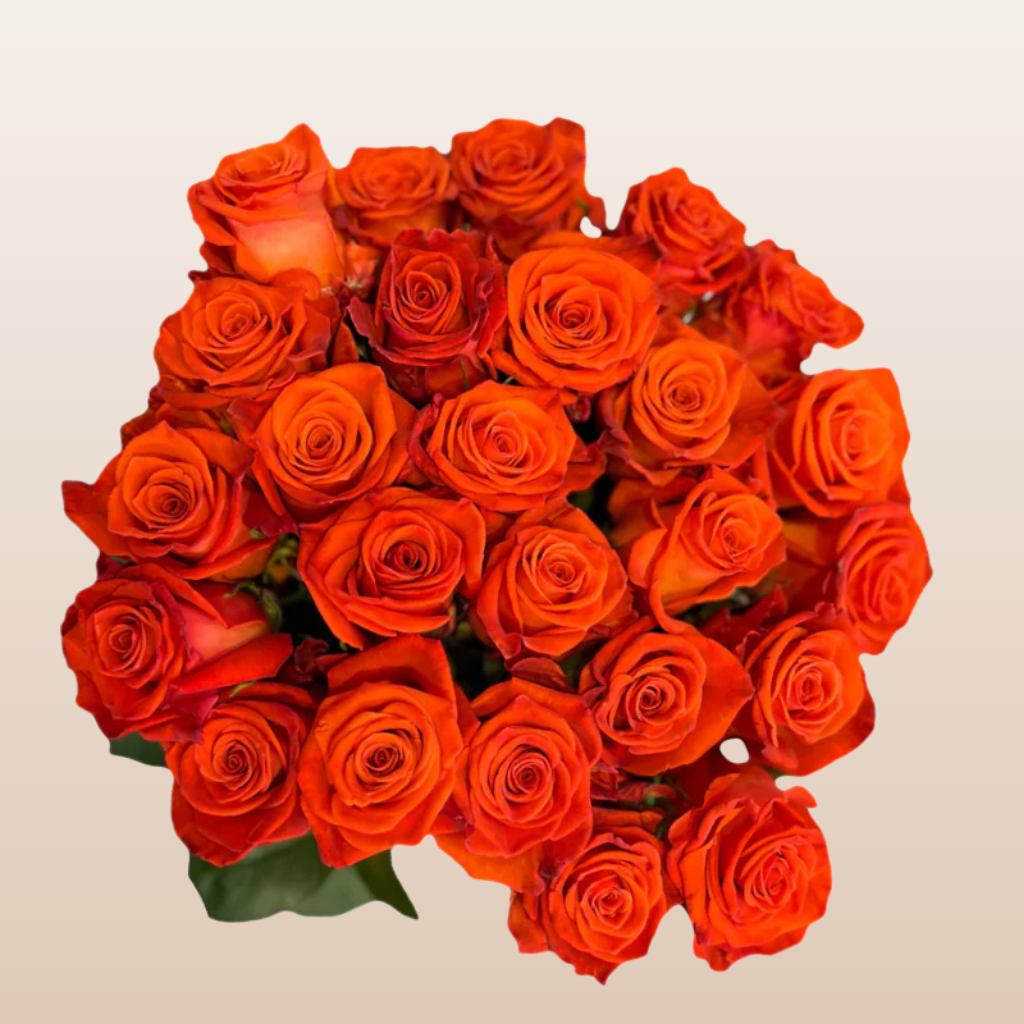 Santana Roses