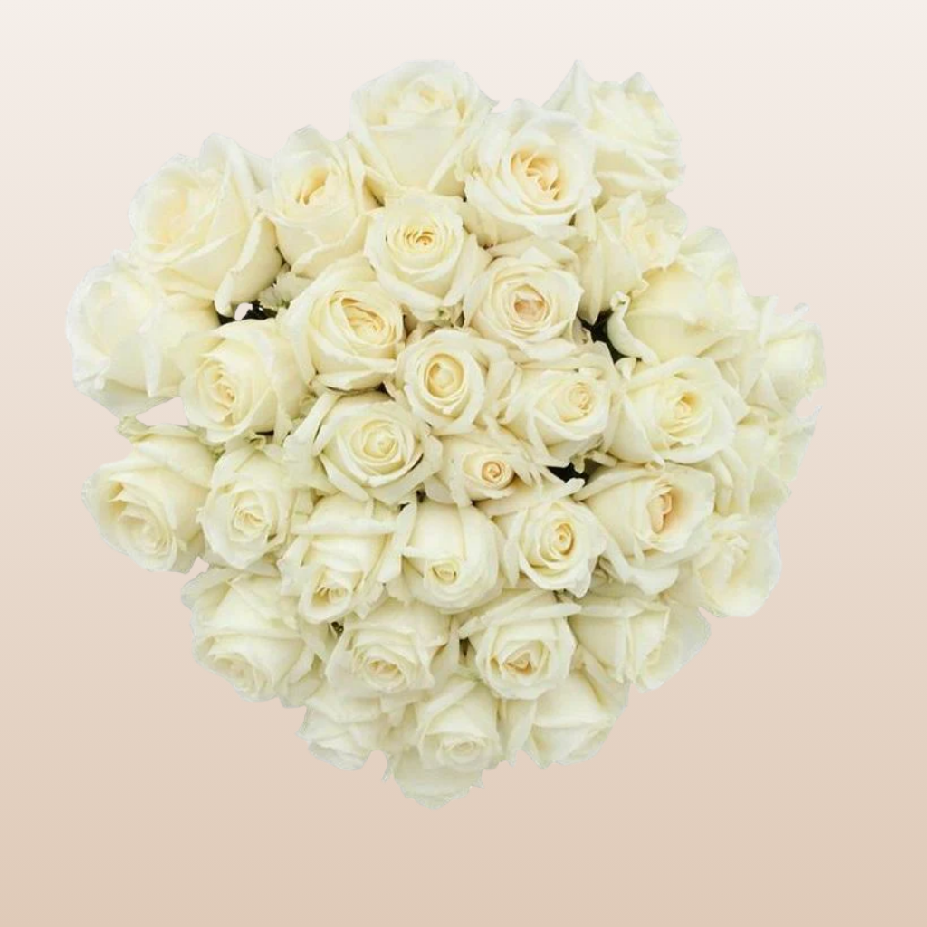Sublime Roses