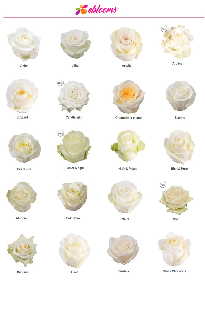 White Assorted Roses