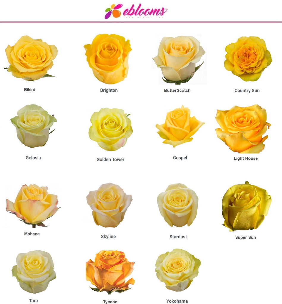 Yellow Assorted Roses