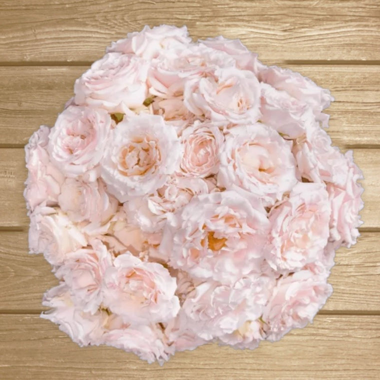 Wedding Rosever Blush Pink Spray Roses