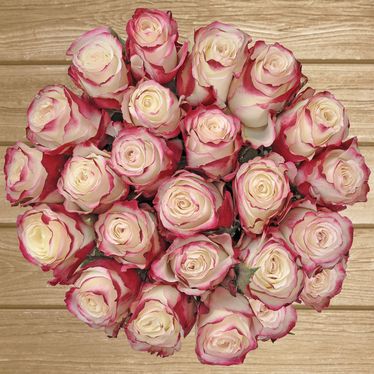 Believe Red Rose Variety - EbloomsDirect – Eblooms Farm Direct Inc.