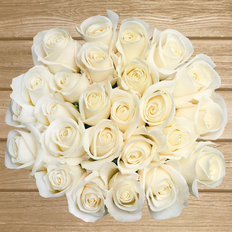 Shades of Beige! - Cream - - Schreurs Roses