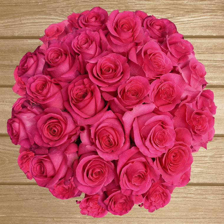 V.I.Pink Rose Variety - Hot Pink Roses near me - EbloomsDirect