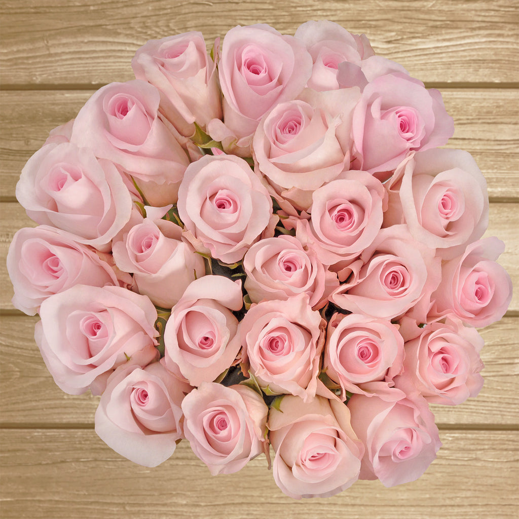 bouquet of light pink roses