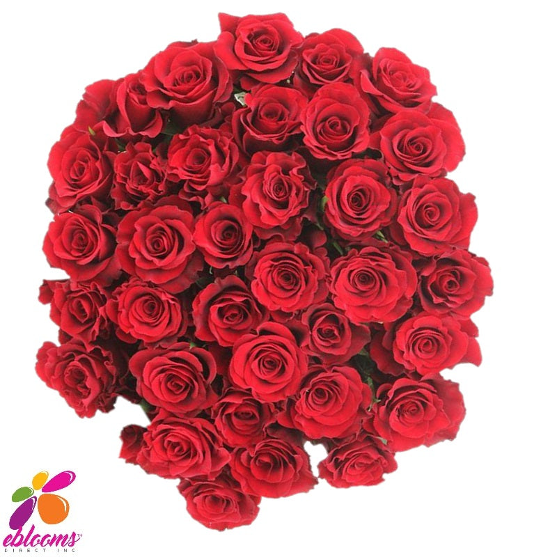 Believe Red Rose Variety - EbloomsDirect – Eblooms Farm Direct Inc.