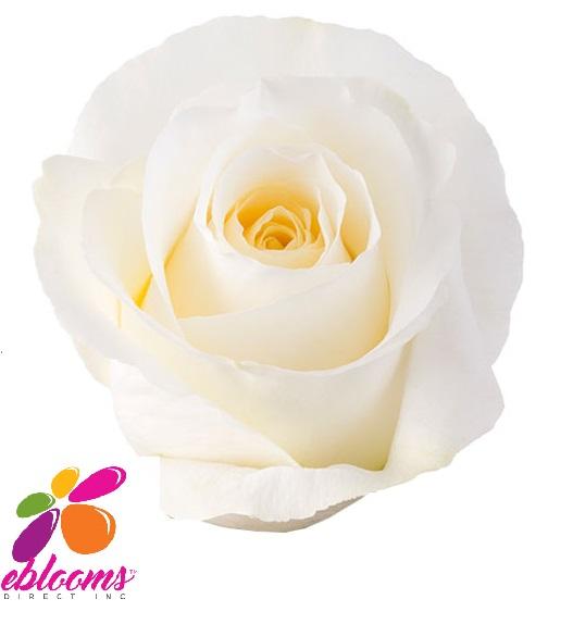 Hearts Red Rose Variety - EbloomsDirect – Eblooms Farm Direct Inc.