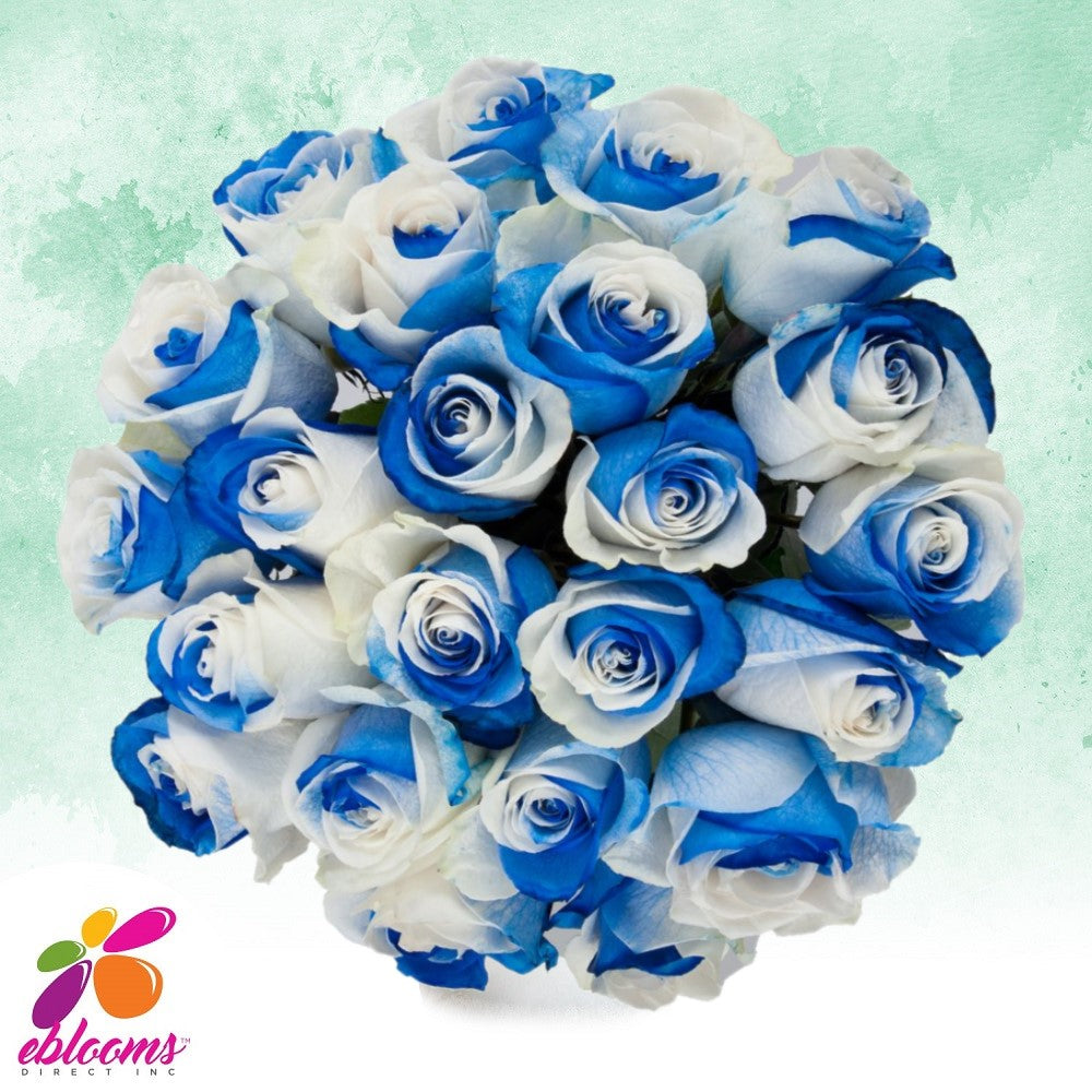 White - Blue Tinted Roses
