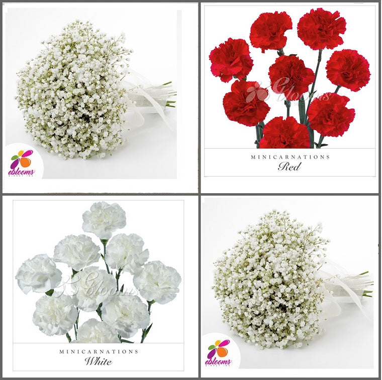 Combo Box 8 - Baby's Breath and Mini Carnation