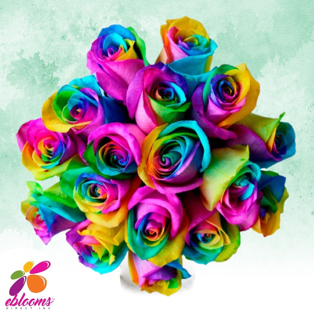 images of rainbow roses